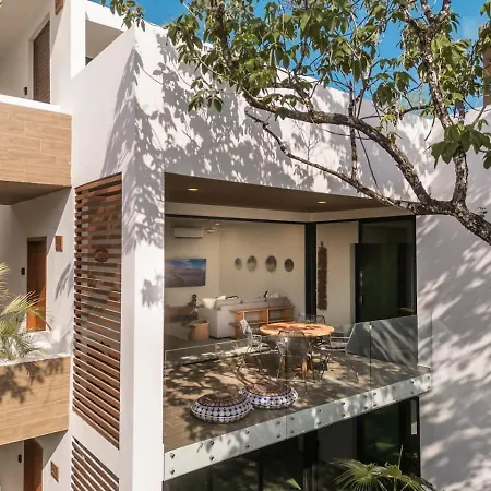 Selva Terra Sol Club Access