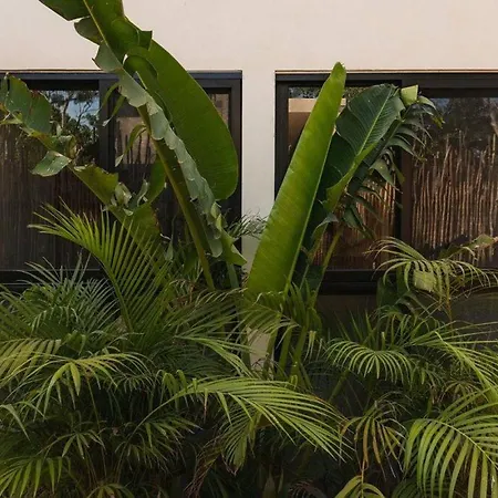 Casa Surenna Jungle Retreat Holiday home