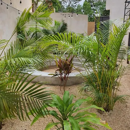 Acogedor Departamento En Naab * Tulum