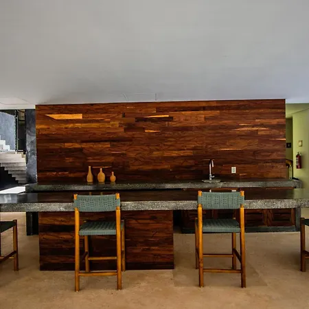 Depto De Lujo Con Plunge Pool Privada Apartment *
