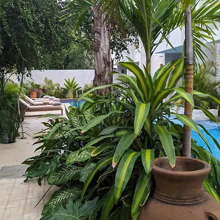 Luxury Poolside Haven Apartment