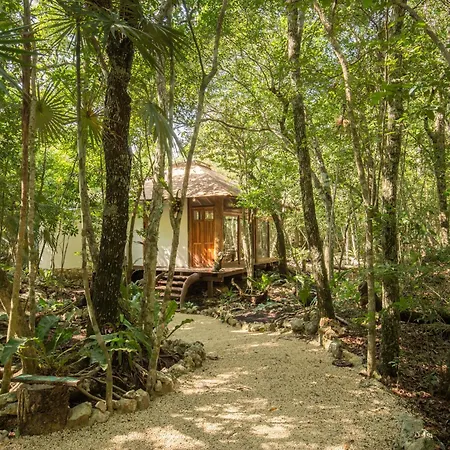 Pepem Holistic Experience - Peaceful Retreat Near (adults Only) *