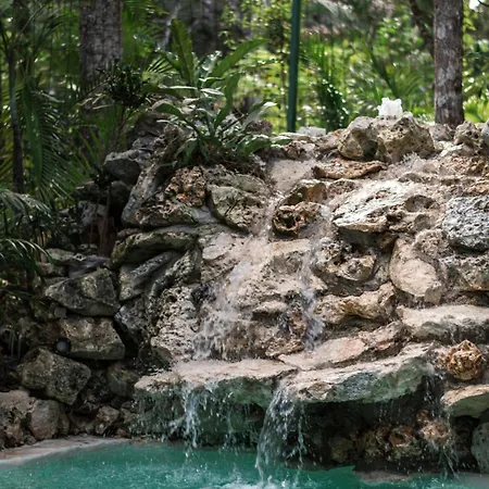 Villa Pepem Holistic Experience - Peaceful Retreat Near (adults Only) *