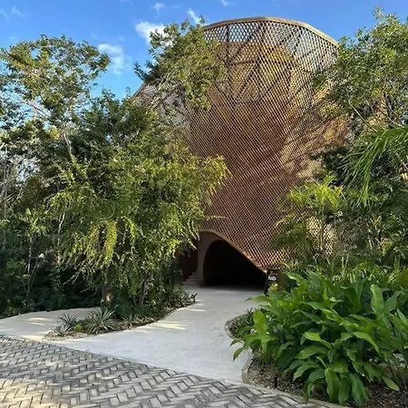Luna Nueva Aflora Tulum