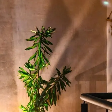 Departamento Con Bicis Gratis Apartment Tulum