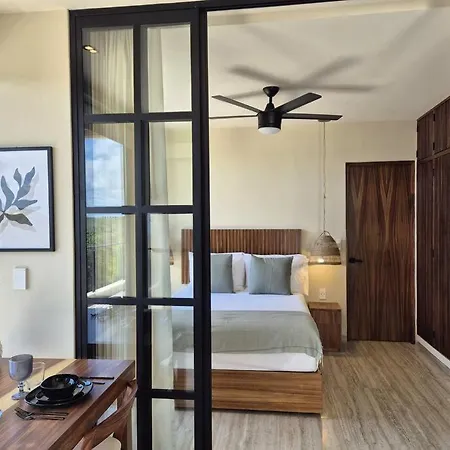 Estrena Penthouse Con Alberca Privada Apartment