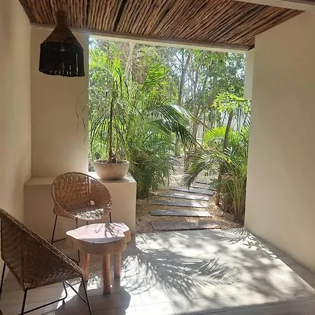 Estrena Penthouse Con Alberca Privada Apartment Tulum