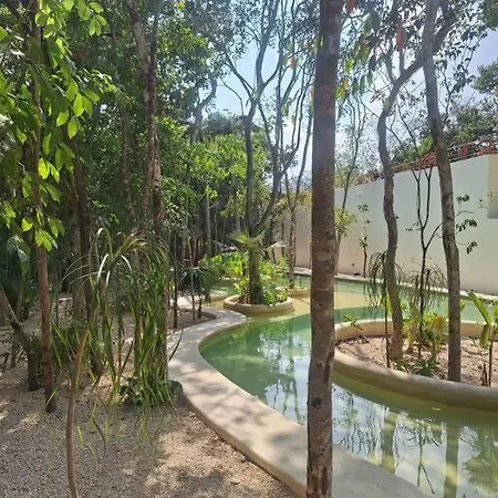 Estrena Penthouse Con Alberca Privada Tulum