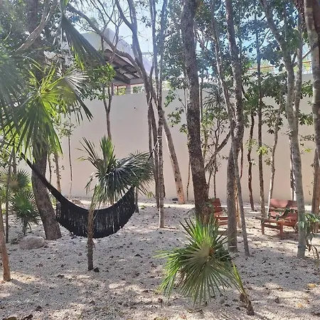 Estrena Penthouse Con Alberca Privada Apartment Tulum