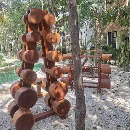 Estrena Penthouse Con Alberca Privada Apartment Tulum