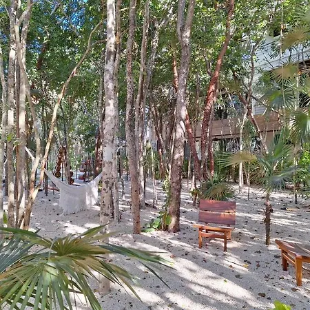 Departamento Nuevo Zona 8 Apartment Tulum