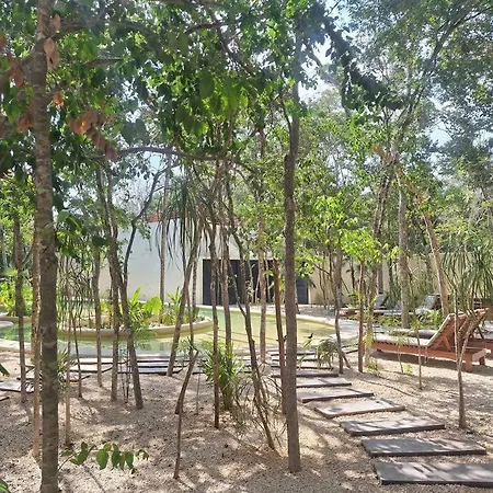 Departamento Nuevo Zona 8 Apartment Tulum