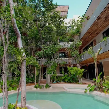 Apartment Impala Noil Foresta