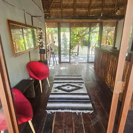 Eco.banitas 3*