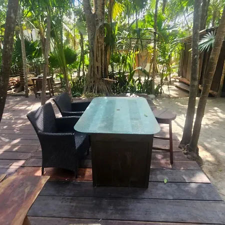 Eco.banitas