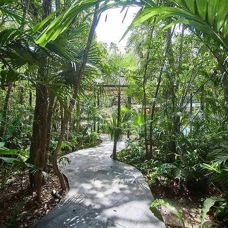 5 Star New Luxury With Cenote And Infinity Pool * Tulum