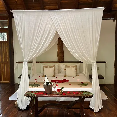 Villa Pepem Holistic Experience - Peaceful Retreat Near (adults Only) Tulum