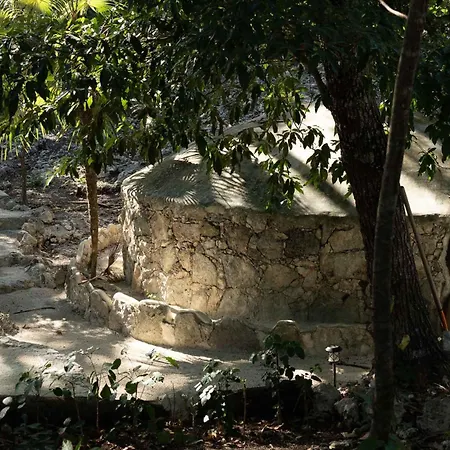 Pepem Holistic Experience - Peaceful Retreat Near (adults Only) * Tulum
