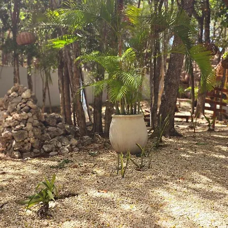 Kin Jungle Deluxe Tulum