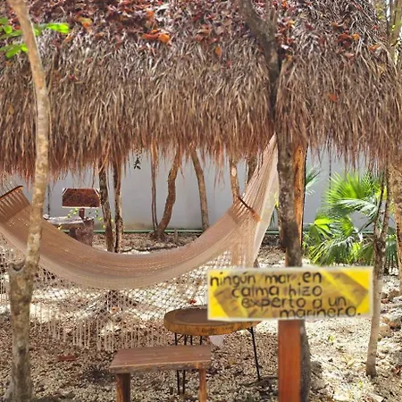 Kin Jungle Deluxe