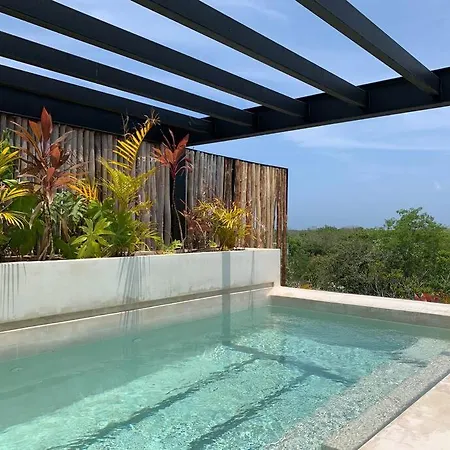 Ph With Rooftop, Grill And Private Pool Apartment