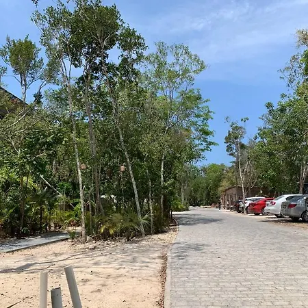 Ph With Rooftop, Grill And Private Pool Apartment Tulum