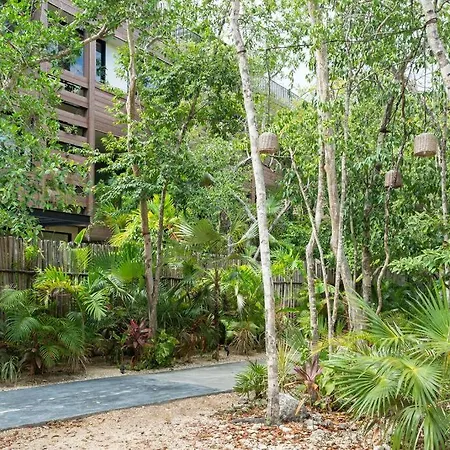 Ph With Rooftop, Grill And Private Pool * Tulum
