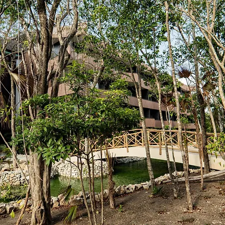 Aparment In The Zone Of *