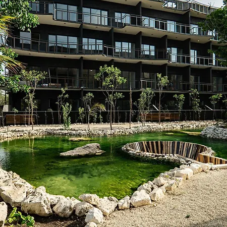 Apartment Aparment In The Zone Of *