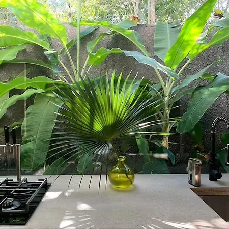 Kaan In Holistika, - Private Pool, Garden & Rooftop Villa Tulum