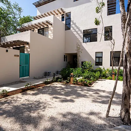 Apartamento Penthouse With Private Jungle, Pool, Downtown *