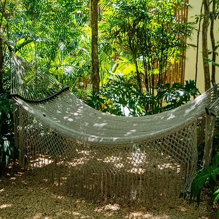 Penthouse With Private Jungle, Pool, Downtown Apartamento Tulum