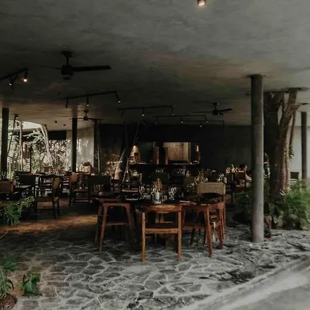 And Cozy Ph With Private Pool * Tulum