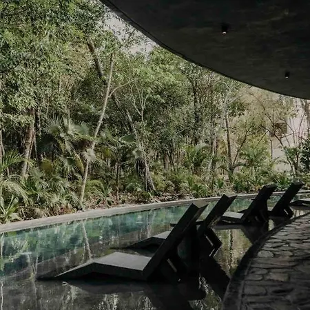 And Cozy Ph With Private Pool Tulum
