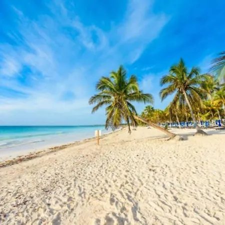 Villa Jungle Retreat Luxury With Pool Intulum Tulum