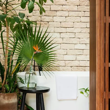 Villa Jungle Keva & Venue Tulum