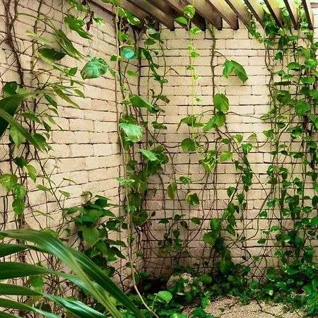 Villa Jungle Keva & Venue Tulum