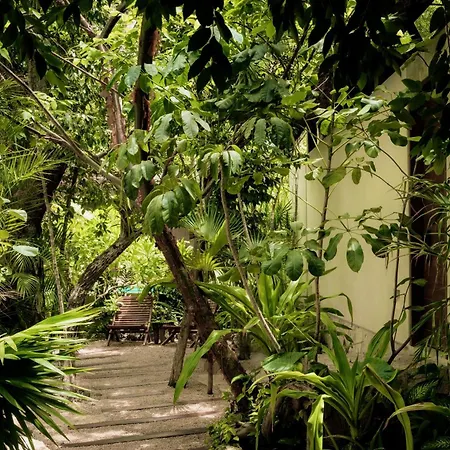Villa Jungle Keva & Venue Tulum