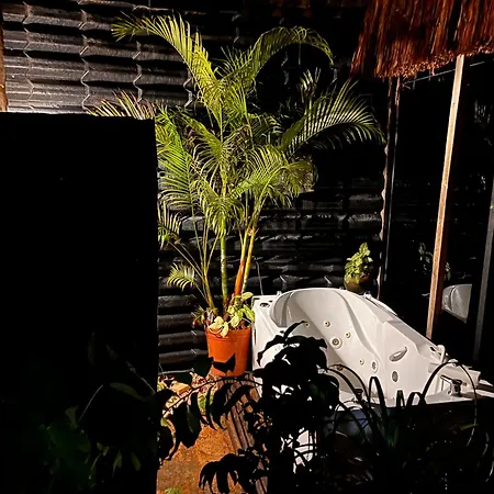 Aventura *