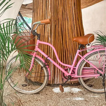 Casita Alyssa Traveler's Oasis Apartment