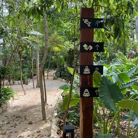 Tuane Deluxe *