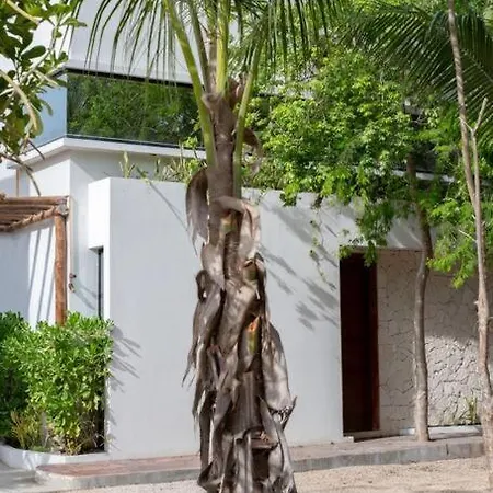 Your Luxurious Retreat