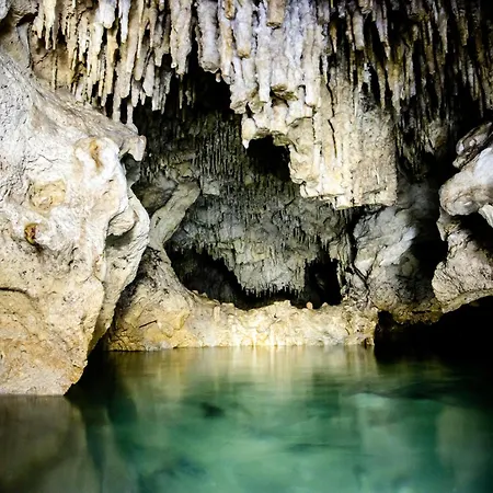 Hotel Casa Tortuga - Cenotes Park Inclusive