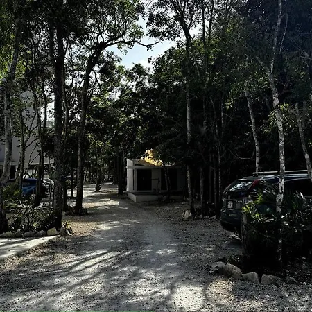 Tuk 201