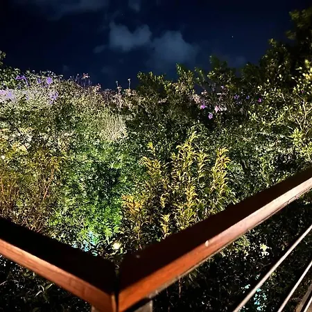 Depa Ph6 Acinte Luxe Con Alberca Privada Tulum
