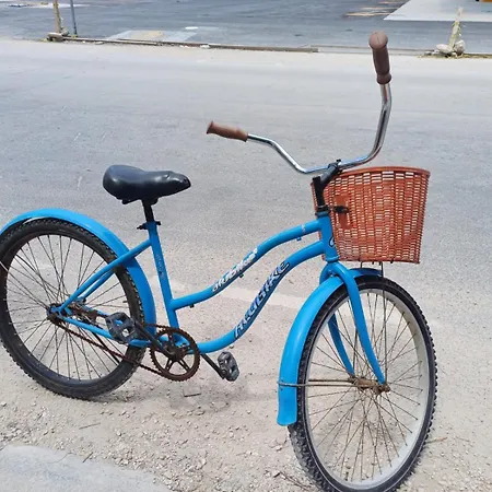 2 Free Bicycles Beautiful Near The Sea Beautiful Pool * Tulum