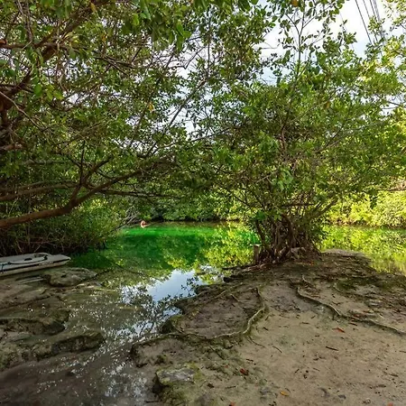 Apartment Luxury Beachfront Getaway Tankah Bay Tulum