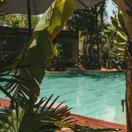 Premium 2br Retreat With Private Rooftop Pool And Hot Tub In Tulum