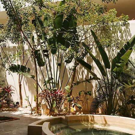 Premium 2br Retreat With Private Rooftop Pool And Hot Tub In Tulum