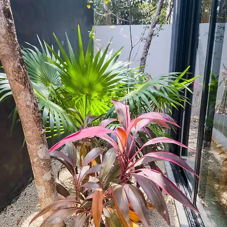 Premium 3 Bedroom House In Gated Community * Tulum